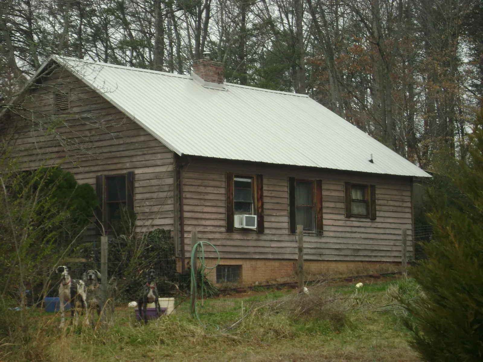 White metal roof on an old wood sided farmhouse, from a Asphalt Shingle Roof Repair job in Glendale